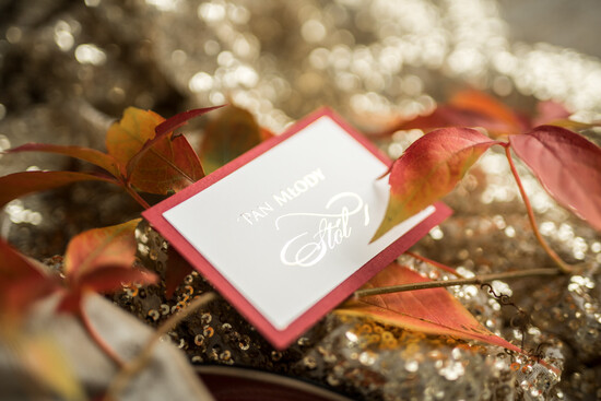 Winietki glamour ślubne winietki wizytówki dla gości weselnych, złote lub srebrne 02/Gfolder1/w