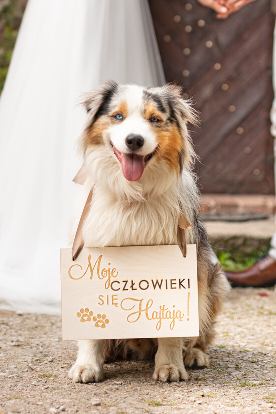 Dekoracje Sali weselnej/Dodatki do Zdjęć tabliczki z napisami  Moje Człowieki się hajtają - Tabliczka do Zdjęć z napisem - Slubna Tabliczka dla Psa 02/tabliczka/dr