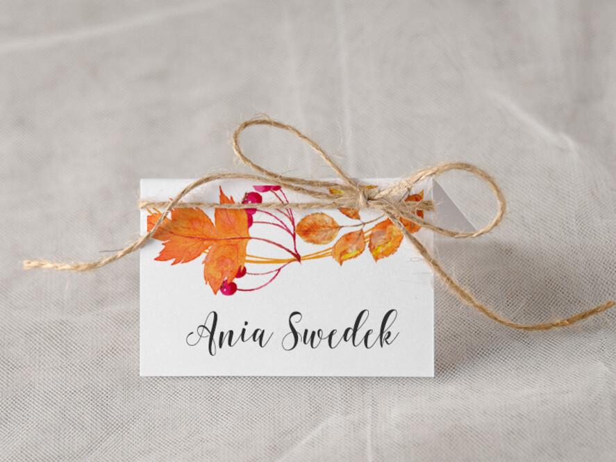 Winietki Boho/etno/pióra usadzenie gości na weselu winietki0