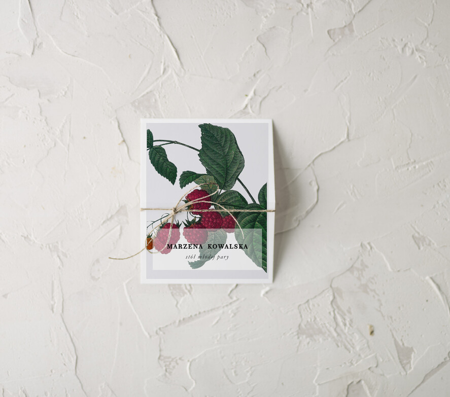 Winietki botaniczne podróżnicze  winietki ślubne wizytówki dla gości weselnych, botaniczne vintage1