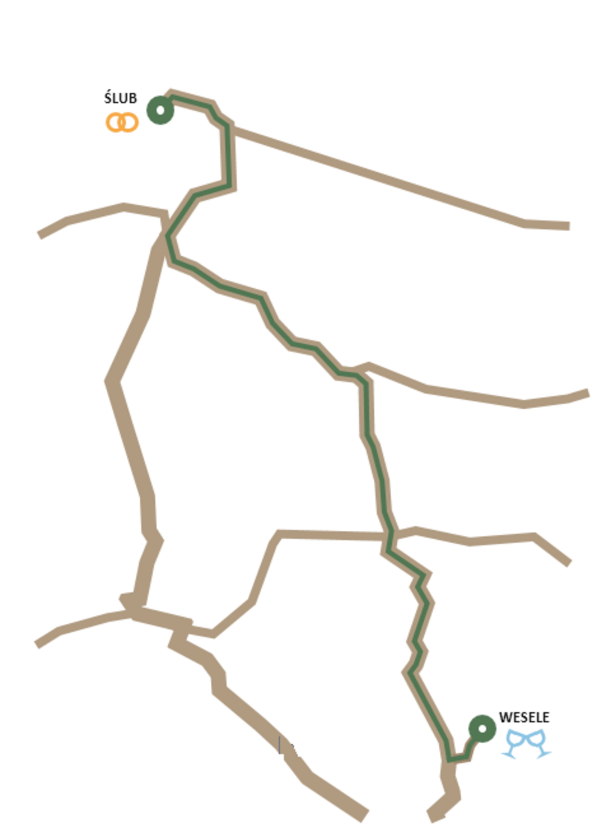 Dekoracje Sali weselnej/Dodatki do Zdjęć Projekty dodatkowy projekt graficzny0