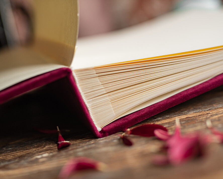 Księgi wpisów gości welurowe Welurowa Księga Wpisów Gości Złote Napisy szyte karty Album na zdjęcia ślubna księga wpisów7