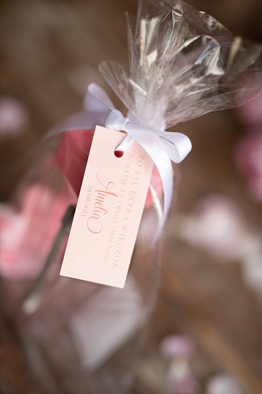 wieczór Panieński zestawy podziekowania na wieczór panieński Zestaw podziękowania za wieczór panieński  Prezent dla dziewczyn na Panieński Butelka i elektrolity4