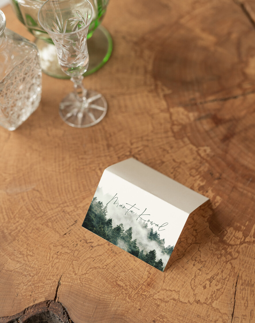 Winietki Nowoczesne prosta forma  winietki weselne z grafiką góry i las  delikatna grafika na winietkach ślubnych, proste i eleganckie winietki na stół weselny, wizytówki ślubne ecru z grafiką3