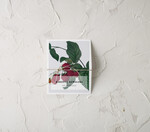 Winietki botaniczne podróżnicze  winietki ślubne wizytówki dla gości weselnych, botaniczne vintage1