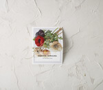 Winietki botaniczne podróżnicze  ślubne wizytówki winietki na stół weselny, rustykalne1