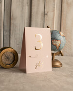 Numery na stół botaniczne podróżnicze  podróżnicze numerki na stół weselny, kolor ecru lub pudrowy róż, tematyczne numery na stoły weselne, dekoracje stołów weselnych 3