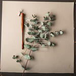 Zaproszenia ślubne Minimalistyczne Proste zaproszenia slubne rustykalne na pleksie, Eukaliptus zaproszenie ślubne z akrylu, zaproszenia ślubne plexi  zaproszenia na ślub z liśćmi 1