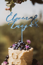 Figurki na tort / cake topper statuetki akryl kolorowy topper na tort weselny0