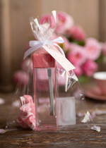 wieczór Panieński zestawy podziekowania na wieczór panieński Zestaw podziękowania za wieczór panieński  Prezent dla dziewczyn na Panieński Butelka i elektrolity1