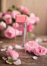 wieczór Panieński zestawy podziekowania na wieczór panieński Zestaw podziękowania za wieczór panieński  Prezent dla dziewczyn na Panieński Butelka i elektrolity2