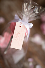 wieczór Panieński zestawy podziekowania na wieczór panieński Zestaw podziękowania za wieczór panieński  Prezent dla dziewczyn na Panieński Butelka i elektrolity4